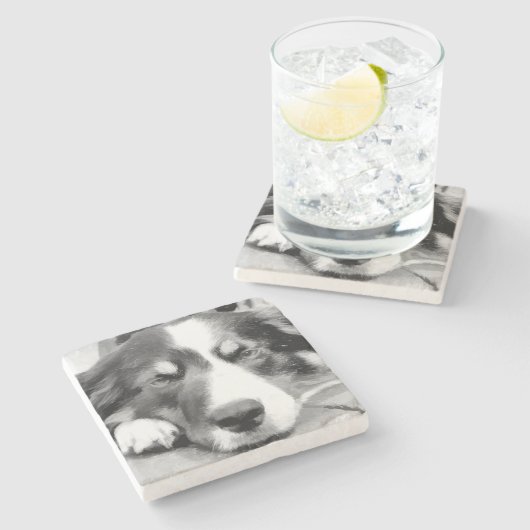 GRENZCOLLIE STEINUNTERSETZER (Seitenansicht)