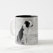 Grenzcollie-Tasse Zweifarbige Tasse (Vorderseite Links)