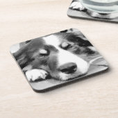 GRENZCOLLIE UNTERSETZER (Linke Seite)