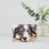 GRENZCOLLIE VISITENKARTE (Stehend Vorderseite)