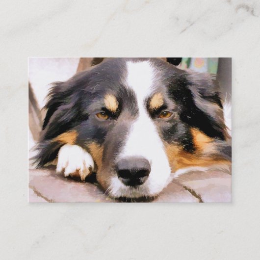 GRENZCOLLIE VISITENKARTE (Vorderseite)