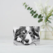 GRENZCOLLIE VISITENKARTE (Stehend Vorderseite)