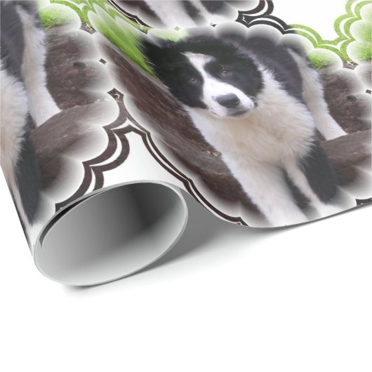 GrenzCollies Geschenkpapier (Rolleneckpunkt)