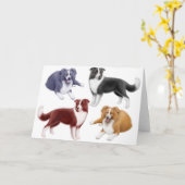 GrenzCollies-Gruß-Karte Karte (Gelbe Blume)