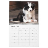 GrenzCollies-Kalender Kalender (Feb 2027)
