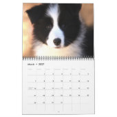 GrenzCollies-Kalender Kalender (Mär 2027)