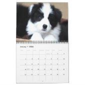 GrenzCollies-Kalender Kalender (Jan 2026)