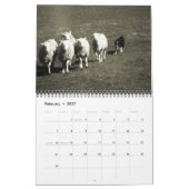 GrenzCollies reichlich Kalender (Feb 2027)