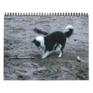 GrenzCollies reichlich Kalender