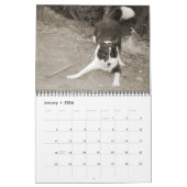 GrenzCollies reichlich Kalender (Jan 2026)