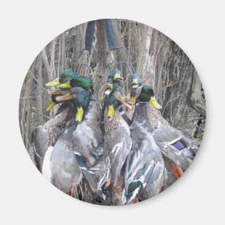 Grenze für die Entenjagd Magnet