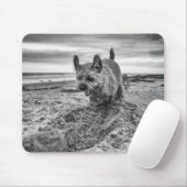 Grenze grabendes Terrier, Fotografie, Mousepad (Mit Mouse)
