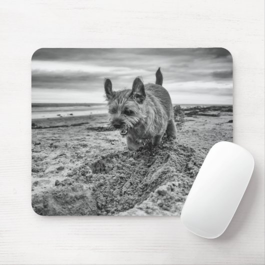 Grenze grabendes Terrier, Fotografie, Mousepad (Mit Mouse)