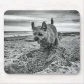 Grenze grabendes Terrier, Fotografie, Mousepad (Vorne)