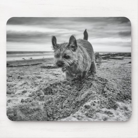 Grenze grabendes Terrier, Fotografie, Mousepad (Vorne)