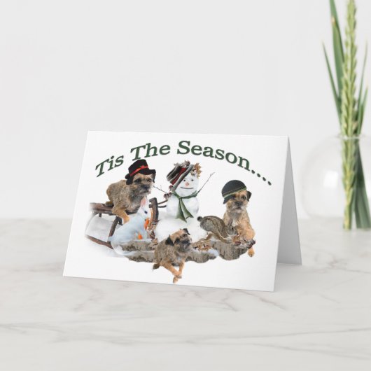 Grenze Terrier Tis die Jahreszeit Feiertagskarte (Vorderseite)