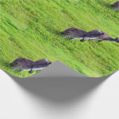Grenzenlose Horizonte: Graues Kangaroos auf grassy Geschenkpapier (Ecke)