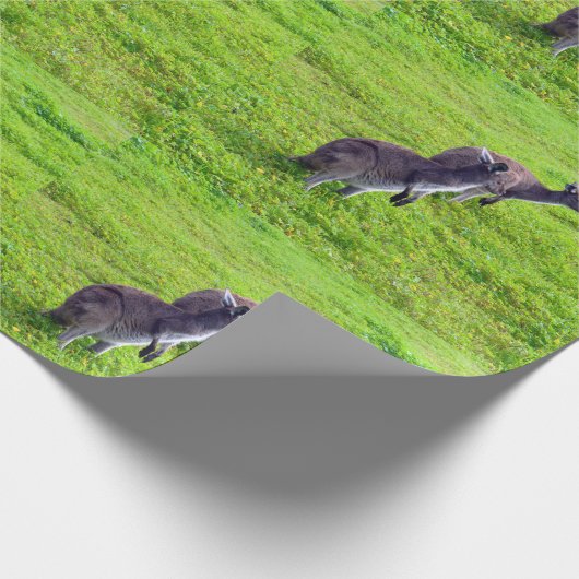 Grenzenlose Horizonte: Graues Kangaroos auf grassy Geschenkpapier (Ecke)