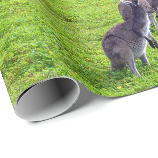 Grenzenlose Horizonte: Graues Kangaroos auf grassy Geschenkpapier (Rolleneckpunkt)