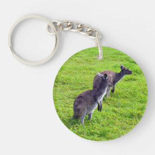 Grenzenlose Horizonte: Graues Kangaroos auf grassy Schlüsselanhänger
