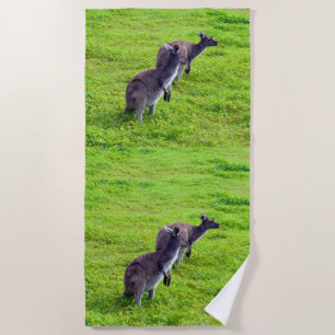 Grenzenlose Horizonte: Graues Kangaroos auf grassy Strandtuch
