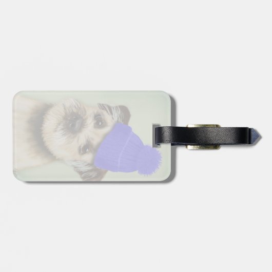 Grenzer Terrier mit blauem Bobble Hat Gepäckanhänger (Rückseite horizontal)