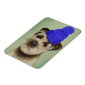 Grenzer Terrier mit blauem Bobble Hat Magnet (Linke Seite)