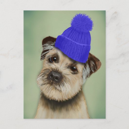 Grenzer Terrier mit blauem Bobble Hat Postkarte (Vorderseite)