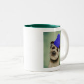 Grenzer Terrier mit blauem Bobble Hat Zweifarbige Tasse (VorderseiteRechts)