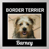 Grenzgebiet Terrier Custom Doster Poster (Vorne)