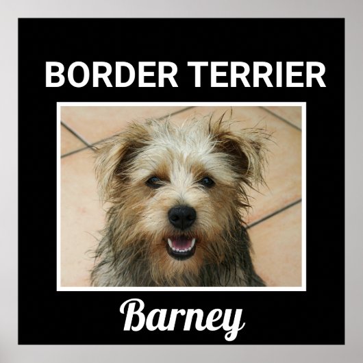 Grenzgebiet Terrier Custom Doster Poster (Vorne)