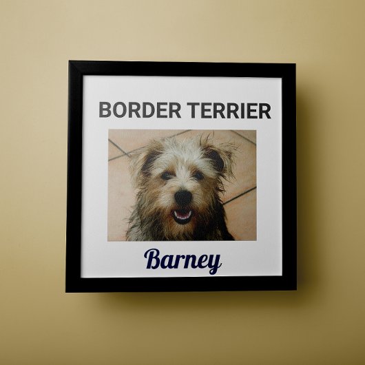Grenzgebiet Terrier Custom Doster Poster