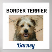 Grenzgebiet Terrier Custom Doster Poster (Vorne)