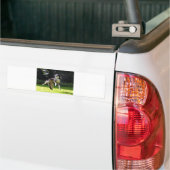Grenzkolbe mit Seifenblasen Autoaufkleber (Auf Lkw)