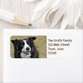 Grenzkollie (Insitu)