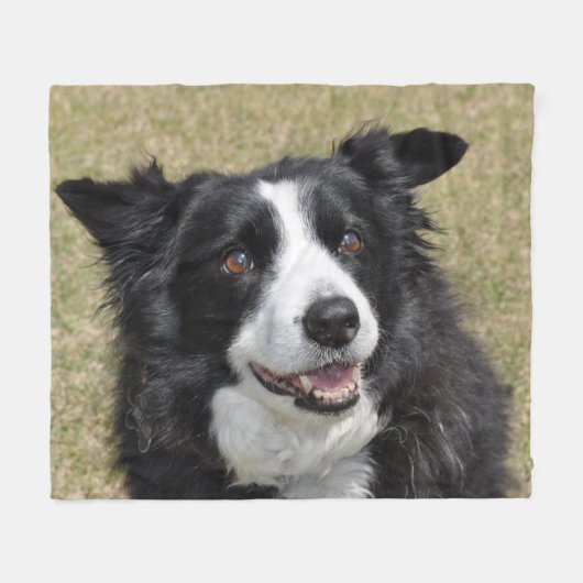 Grenzkollie Fleecedecke (Vorderseite (Horizontal))