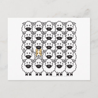 Grenzkollie im Schafe Postkarte