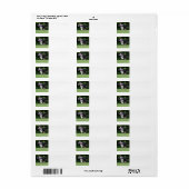 Grenzkollie mit Spielzeug (Vorne)