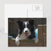 Grenzkollie Postkarte (Vorne/Hinten)