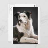 Grenzkollie Postkarte (Vorne/Hinten)