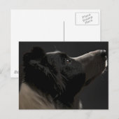 Grenzkollie Postkarte (Vorne/Hinten)