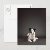 Grenzkollie Postkarte (Vorne/Hinten)