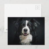 Grenzkollie Postkarte (Vorne/Hinten)
