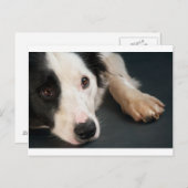 Grenzkollie Postkarte (Vorne/Hinten)