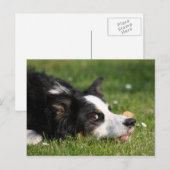 Grenzkollie Postkarte (Vorne/Hinten)