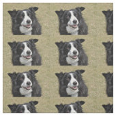 Grenzkollie Stoff (Muster)