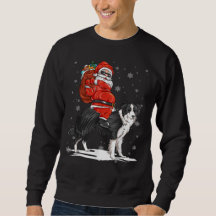 Grenzkollie Weihnachtshund Riding Santa