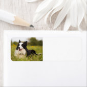 Grenzkollision in Wildblumen (Insitu)