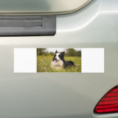 Grenzkollision in Wildblumen Autoaufkleber (Auf Auto)