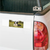 Grenzkollision in Wildblumen Autoaufkleber (Auf Lkw)
